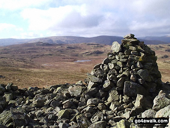 Walk c431 The Wet Sleddale Wainwright Outlying Fells - Seat Robert summit cairn