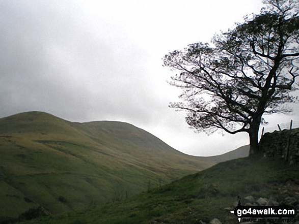 Walk c336 Calders, The Calf and Yarlside via Cautley Spout from The Cross Keys - Yarlside from The River Rawthey near Narthwaite Farm