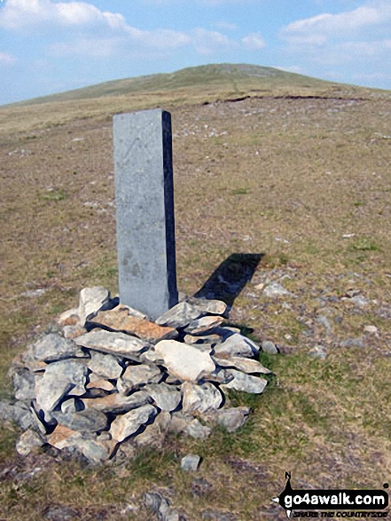 Boundary stone on the approach to Pen Pumlumon Arwystli