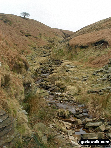 Walk l100 Pendle Hill from Barley - Boar Clough