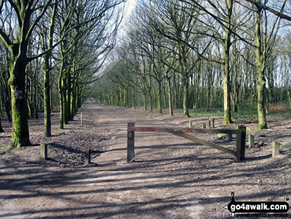 Walk l110 Rivington Pike from Great House Information Centre, Rivington Lane - Path through Lever Park from Rivington Lane Car Park