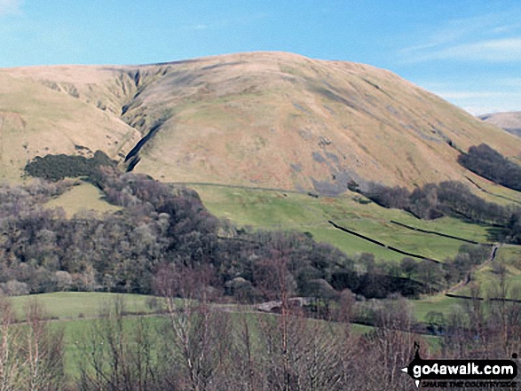 Cleugh Gill (left) and Blease Fell from the lower slopes of Grayrigg Forest