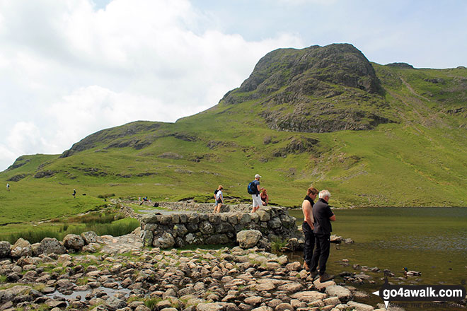 Harrison Stickle from the outflow from Stickle Tarn