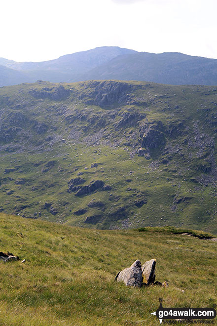 Walk c418 The Langdale Pikes via North Rake and Rossett Pike from Great Langdale - Black Crags (Langdale) from Martcrag Moor