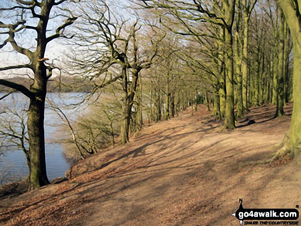 Walk l110 Rivington Pike from Great House Information Centre, Rivington Lane - Lower Rivington Reservoir shore path