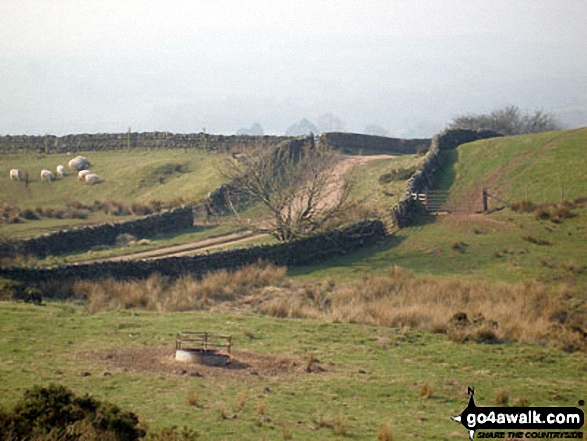 Quiet track above Townend, Renwick