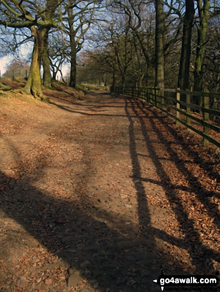 Walk l110 Rivington Pike from Great House Information Centre, Rivington Lane - Woodland path above Rivington Hall