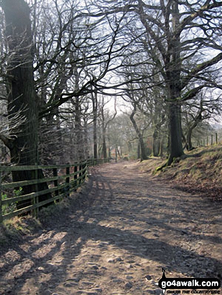 Walk l110 Rivington Pike from Great House Information Centre, Rivington Lane - Woodland path above Rivington Cottage