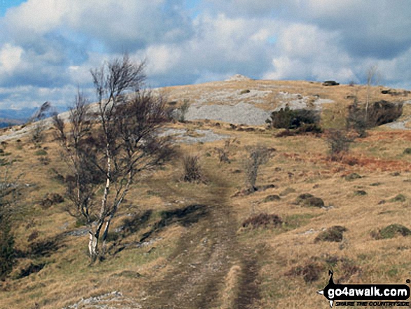 Walk c444 Lord's Seat (Whitbarrow Scar) from Mill Side - Farrar's Allotment, Whitbarrow Scar