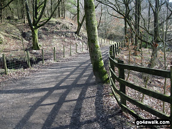 Walk l110 Rivington Pike from Great House Information Centre, Rivington Lane - Woodland path above Rivington Upper Barn