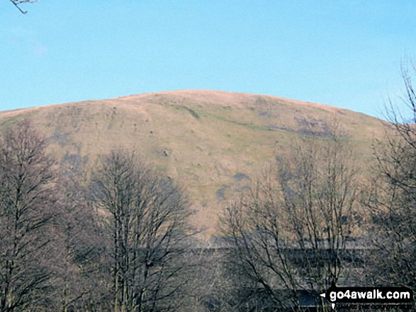 Blease Fell from Borrowdale Wood