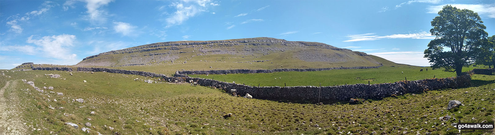 Clapham High Mark from High Midge Hills