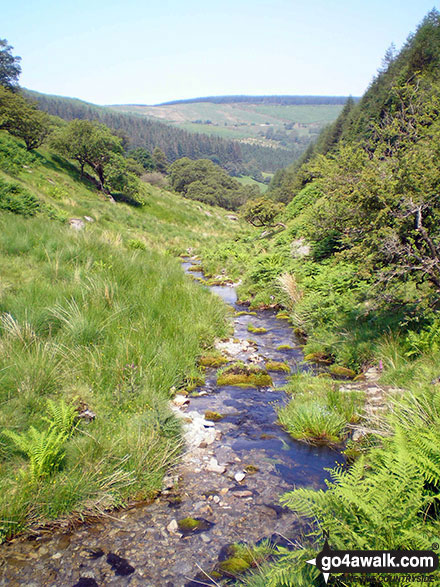 Walk gw196 Foel Goch and Foel y Geifr from Hirnant Pass - Nant Nadroedd Bach on Hirnant Pass