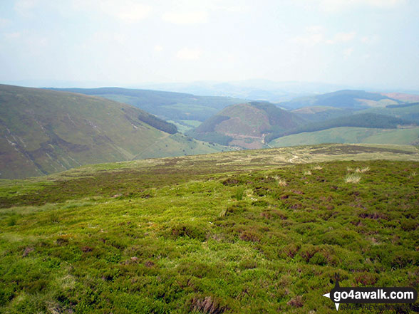 Walk gw120 The Western Berwyns from Hirnant Pass - Foel y Ddinas from Pen y Cerrig Duon