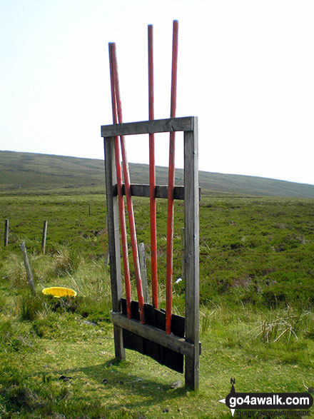 Walk gw120 The Western Berwyns from Hirnant Pass - Fire brooms on Pen y Boncyn Trefeilw