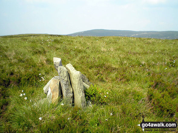 Walk gw145 Pen y Boncyn Trefeilw and Foel Cedig from Hirnant Pass - Cairn on the summit of Cefn Gwyntog