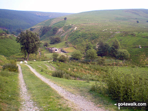 Walk gw145 Pen y Boncyn Trefeilw and Foel Cedig from Hirnant Pass - Heading down to Hirnant Pass from Ystrad-y-groes