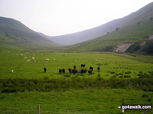 Walk gw196 Foel Goch and Foel y Geifr from Hirnant Pass - Hirnant Pass