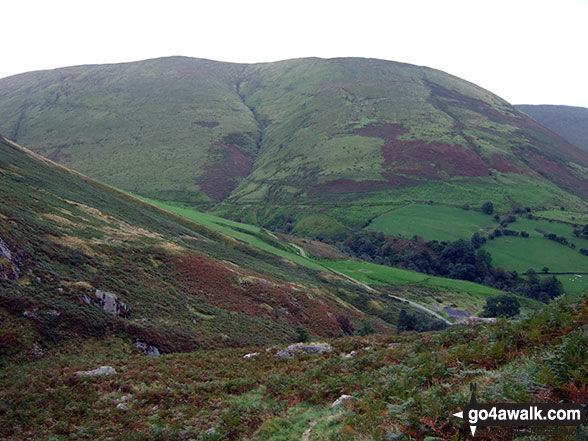 Walk gw149 Glasgwm and Pen y Brynfforchog from Cwm Cywarch - Pen yr Allt Uchaf from the head of Cwm Cywarch