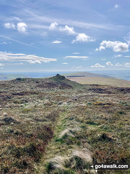 Photo of The approach to the summit of Post Gwyn, you can see the small forest in the distance, shown as pale green on walk pdf po155 in The Berwyns, Powys, Wales by Melfyn Parry (5)