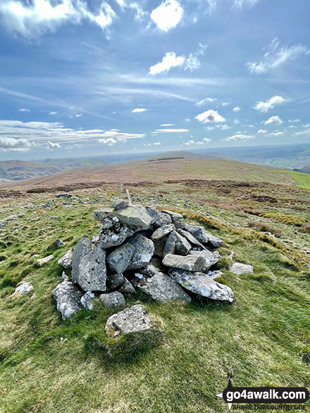 Photo of The summit of Post Gwyn - the trees in the distance is the next leg of  walk pdf po155 in The Berwyns, Powys, Wales by Melfyn Parry (6)