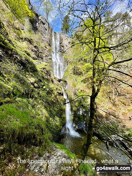 Photo of The spectacular Pistyll Rhaeadr, what a sight! in The Berwyns, Powys, Wales by Melfyn Parry (9)