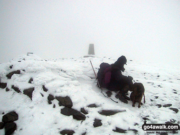 Walk c273 Skiddaw and Bakestall from Gale Road (Underscar) nr Keswick - Mike & his dog on the a very cold and snowy Skiddaw