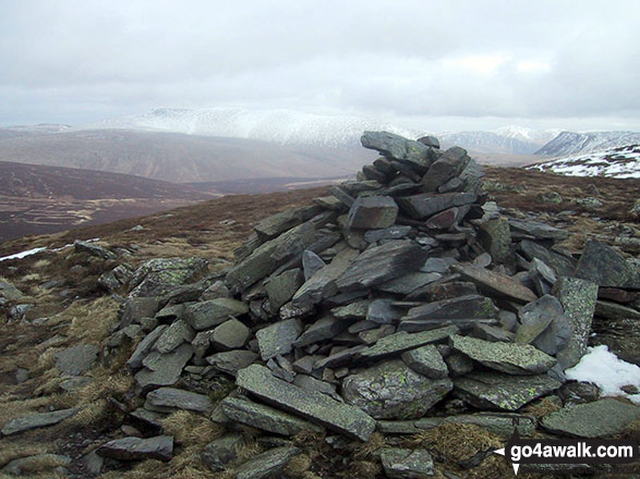 Walk c273 Skiddaw and Bakestall from Gale Road (Underscar) nr Keswick - Bakestall summit cairn