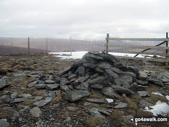 Walk c273 Skiddaw and Bakestall from Gale Road (Underscar) nr Keswick - Bakestall summit cairn