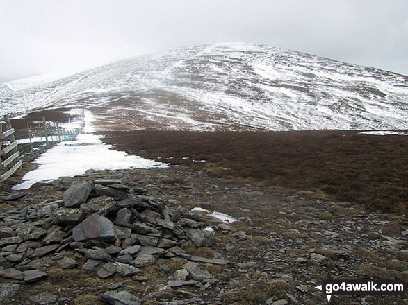 Walk c273 Skiddaw and Bakestall from Gale Road (Underscar) nr Keswick - Skiddaw in the snow from Bakestall summit cairn