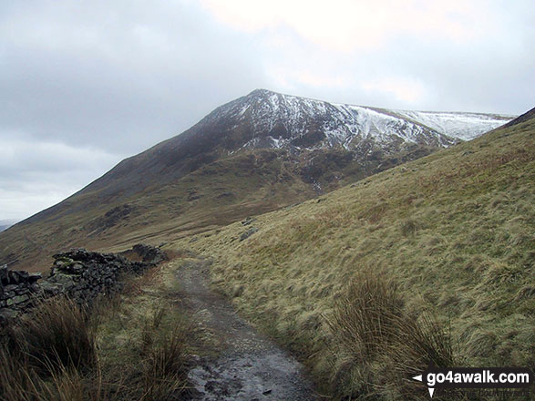 Walk c273 Skiddaw and Bakestall from Gale Road (Underscar) nr Keswick - Bakestall from the Cumbria Way, Back O' Skiddaw