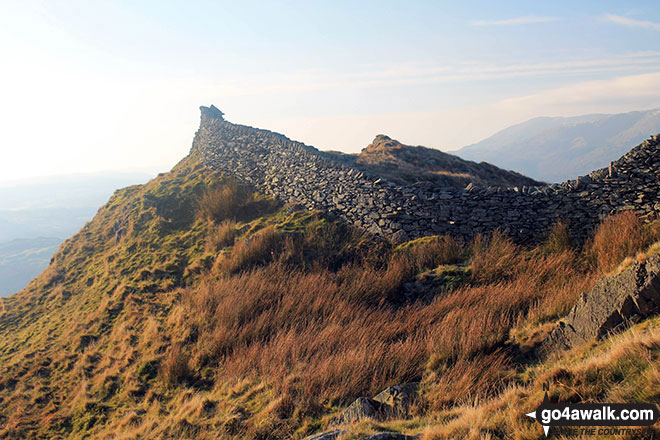 Walk c273 Skiddaw and Bakestall from Gale Road (Underscar) nr Keswick - The high drystone wall on Low Pike (Scandale)