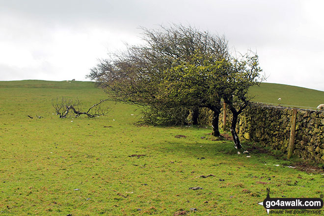 St. John's Hill (Caermote Hill)