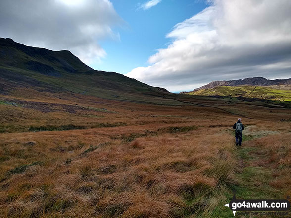 Walk gw137 Cadair Idris (Penygadair), Mynydd Moel, Craig Cwm Amarch and Cyfrwy via The Fox's Path - Tarrau Mawr (Craig-las) (left) from the Pony Path below Rhiw Gwerdydd