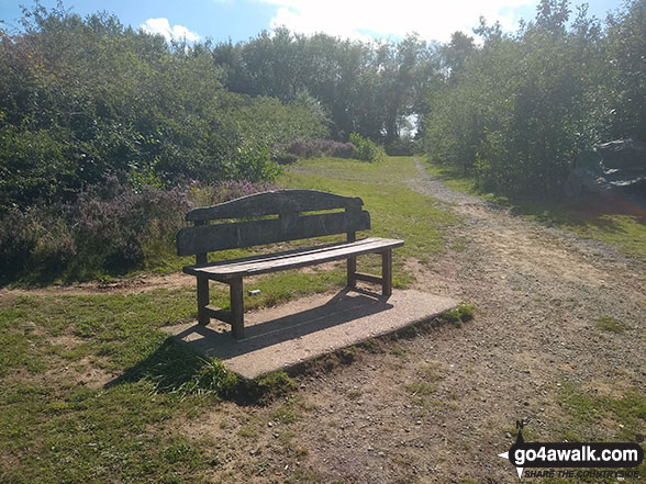 Walk le103 Bardon Hill from Coalville - Bench on the path up Bardon Hill