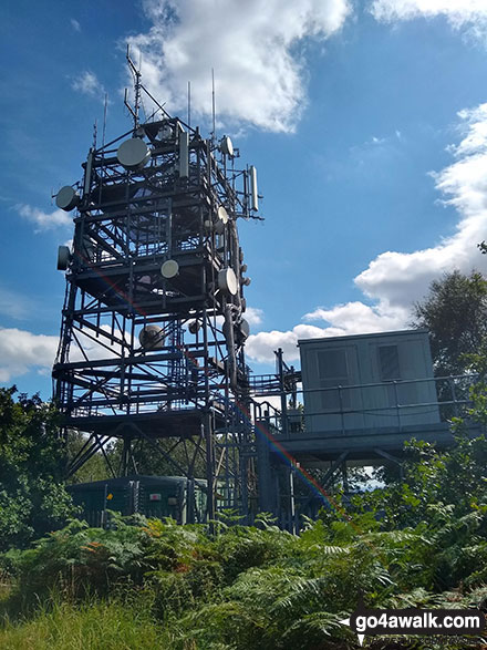 Walk le103 Bardon Hill from Coalville - Telecommunications Mast near the summit of Bardon Hill