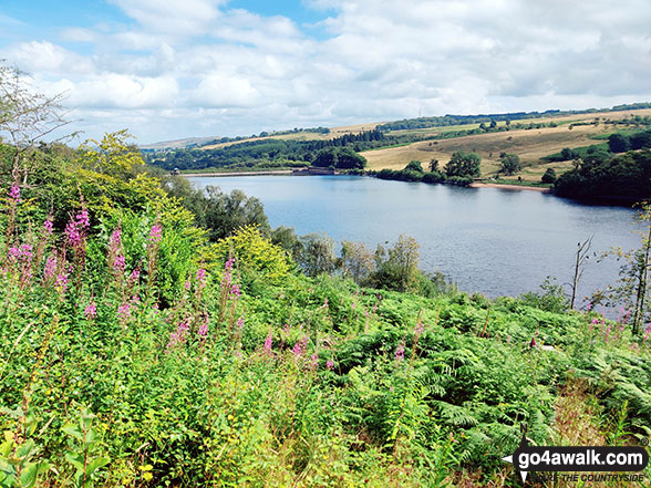 Walk d221 Shining Tor and Windgather Rocks from Errwood Reservoir, The Goyt Valley - Fernilee Reservoir, The Goyt Valley