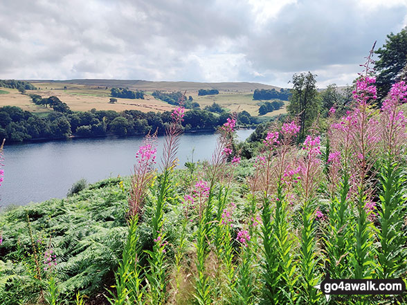 Walk d221 Shining Tor and Windgather Rocks from Errwood Reservoir, The Goyt Valley - Fernilee Reservoir, The Goyt Valley