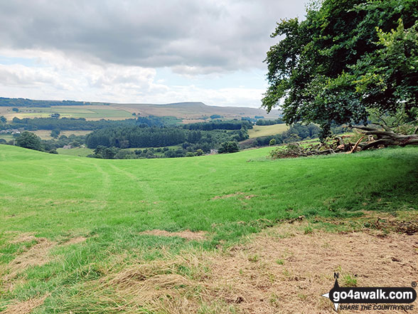 Walk d221 Shining Tor and Windgather Rocks from Errwood Reservoir, The Goyt Valley - The Goyt Valley