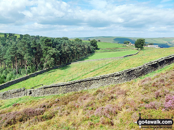 Walk d221 Shining Tor and Windgather Rocks from Errwood Reservoir, The Goyt Valley - Goyt Forest