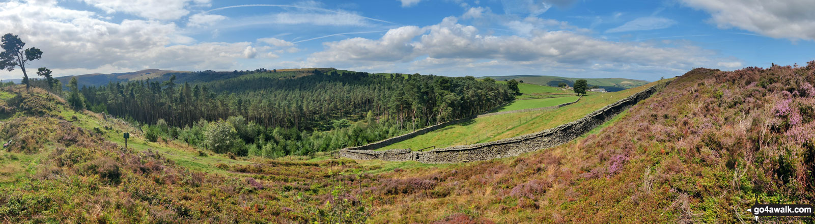 Walk d221 Shining Tor and Windgather Rocks from Errwood Reservoir, The Goyt Valley - Goyt Forest