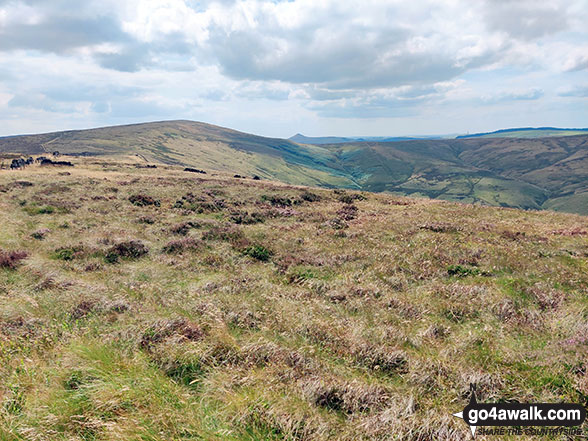 Walk d221 Shining Tor and Windgather Rocks from Errwood Reservoir, The Goyt Valley - Cat's Tor and Shining Tor from Windgather Rocks