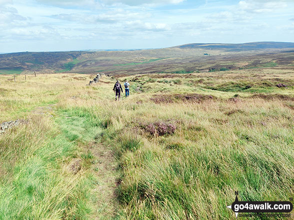 Walk d221 Shining Tor and Windgather Rocks from Errwood Reservoir, The Goyt Valley - Descending from Shining Tor