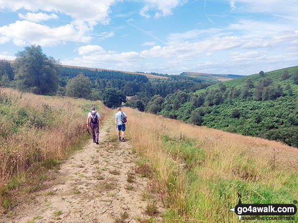 Walk d221 Shining Tor and Windgather Rocks from Errwood Reservoir, The Goyt Valley - Descending The Goyt Valley