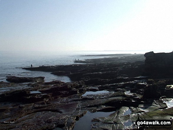 Walk n116 Dunstanburgh Castle from Craster - Howick Beach near Craster