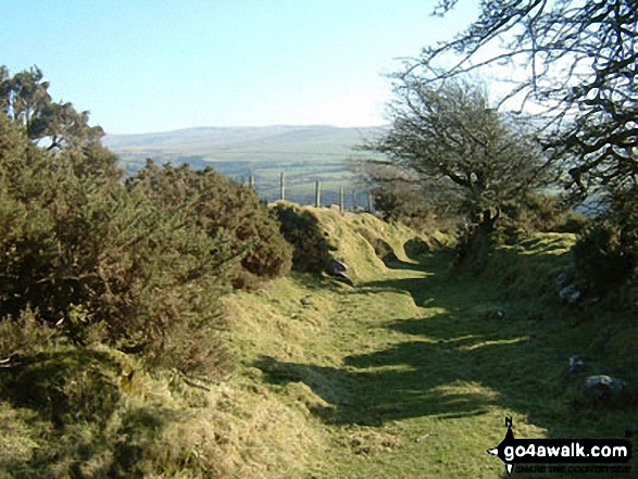 Just North of Sychbant in the Preseli Hills