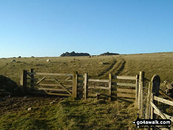 Carn Edward in the Preseli Hills on the approach to Carn Ingli