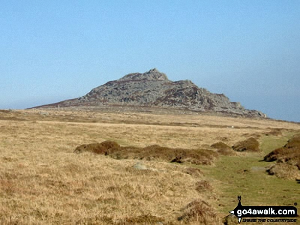 Looking East at Carn Ingli, The Preseli Hills