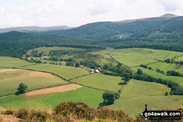 Wildboarclough and Shutlingsloe from Teggs Nose