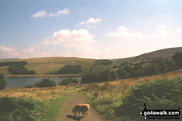 Walk d221 Shining Tor and Windgather Rocks from Errwood Reservoir, The Goyt Valley - Errwood Reservoir